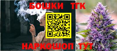 мдпв Жуковский