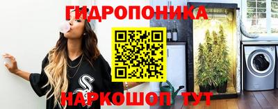 ECSTASY Заводоуковск
