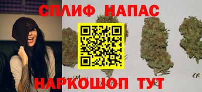 ECSTASY Заводоуковск