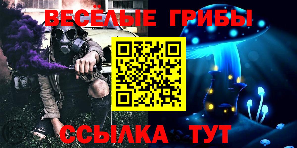 Псилоцибиновые грибы GOLDEN TEACHER Салехард