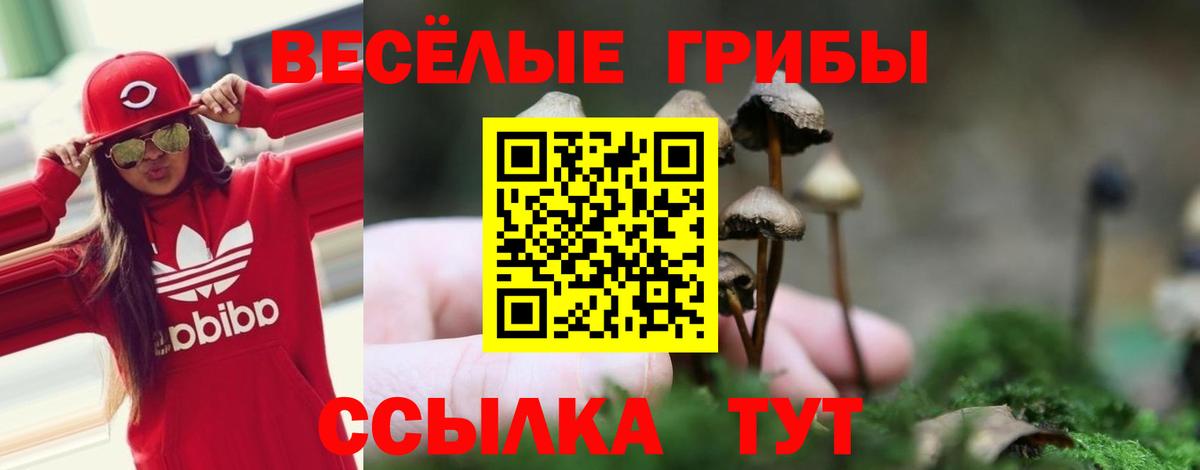 Галлюциногенные грибы мухоморы  купить закладку  Салехард  Галлюциногенные грибы мухоморы  Вход с VPN 